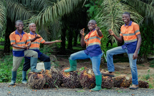 Golden Star Oil Palm Plantation has been certified by Roundtable on Sustainable Palm Oil
