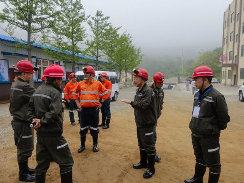 赤峰黄金LXML Sepon矿团队到国内矿山子公司参观调研