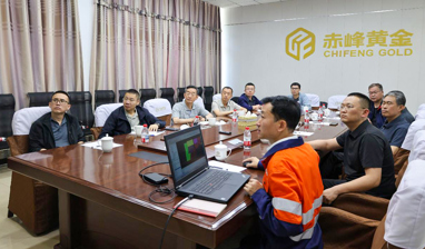 Academician Mao Jingwen Paid a Working Visit to Wulong Mine