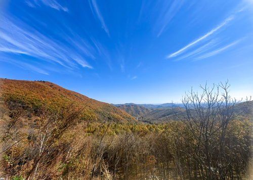 The prize of ”Scenery Mine, Beautiful Chifeng Gold" Photographing Competition released